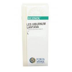 LES VIBURNUN LANTANA 50 ML