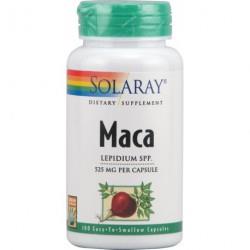 MACA 100 CÁPSULAS