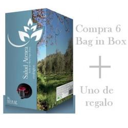 OFERTA DE LIQUIDACIÓN 6 BAG IN BOX Y UNO