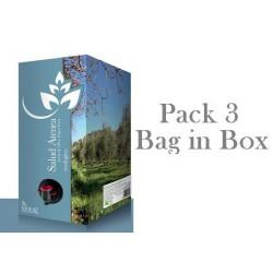 OFERTA DE LIQUIDACIÓN PACK DE 3 BAG IN B